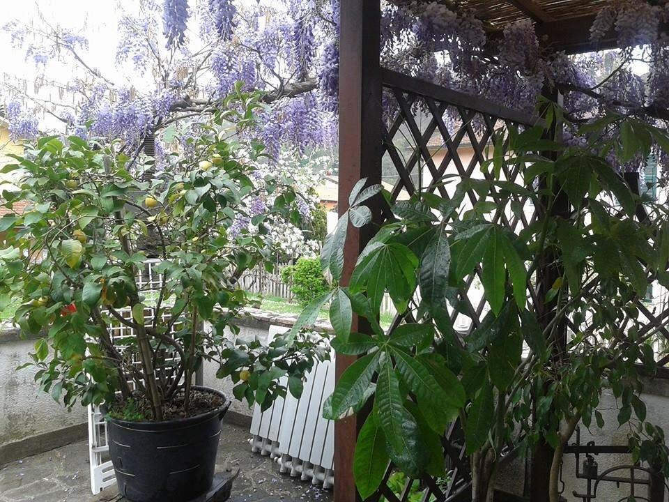 Il Ghiro B&B Riccò del Golfo di Spezia Kültér fotó