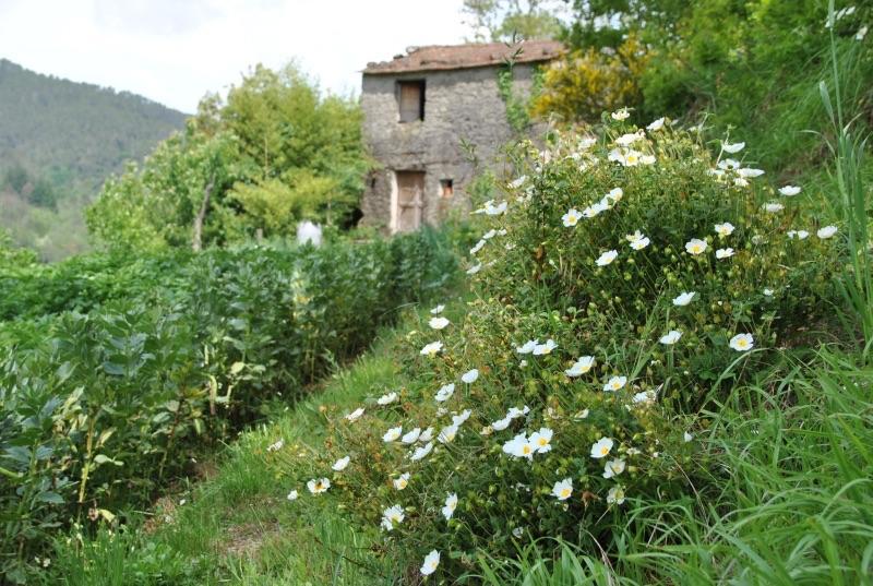 Il Ghiro B&B Riccò del Golfo di Spezia Kültér fotó