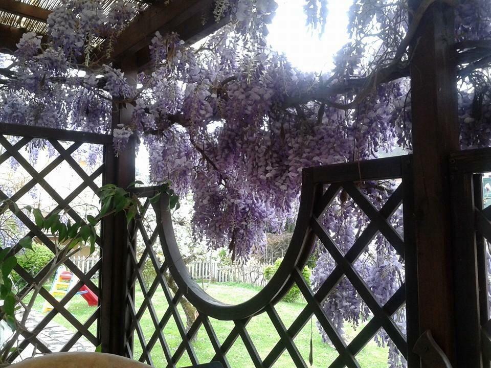 Il Ghiro B&B Riccò del Golfo di Spezia Kültér fotó