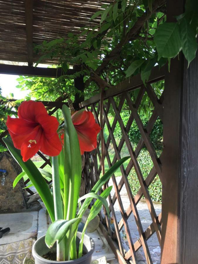 Il Ghiro B&B Riccò del Golfo di Spezia Kültér fotó