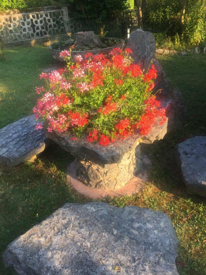 Il Ghiro B&B Riccò del Golfo di Spezia Kültér fotó